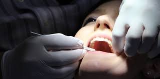 régénération tissulaire